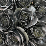 Rosaholics SILVER FRESH, view 2