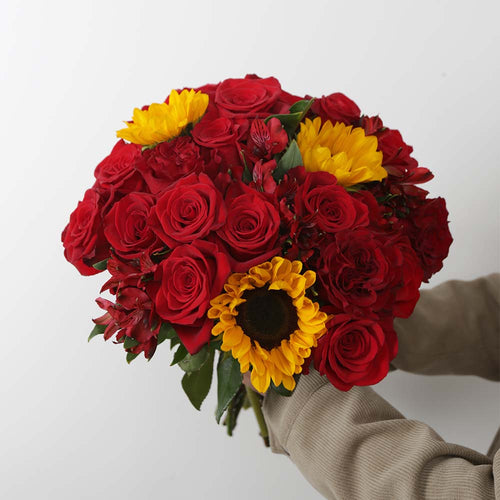 Rosaholics SUMMER ROMANCE
