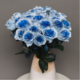 Rosaholics BLUE MONARCH, view 2