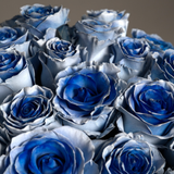 Rosaholics BLUE MONARCH, view 3