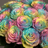 Rosaholics TIE DYE, view 2
