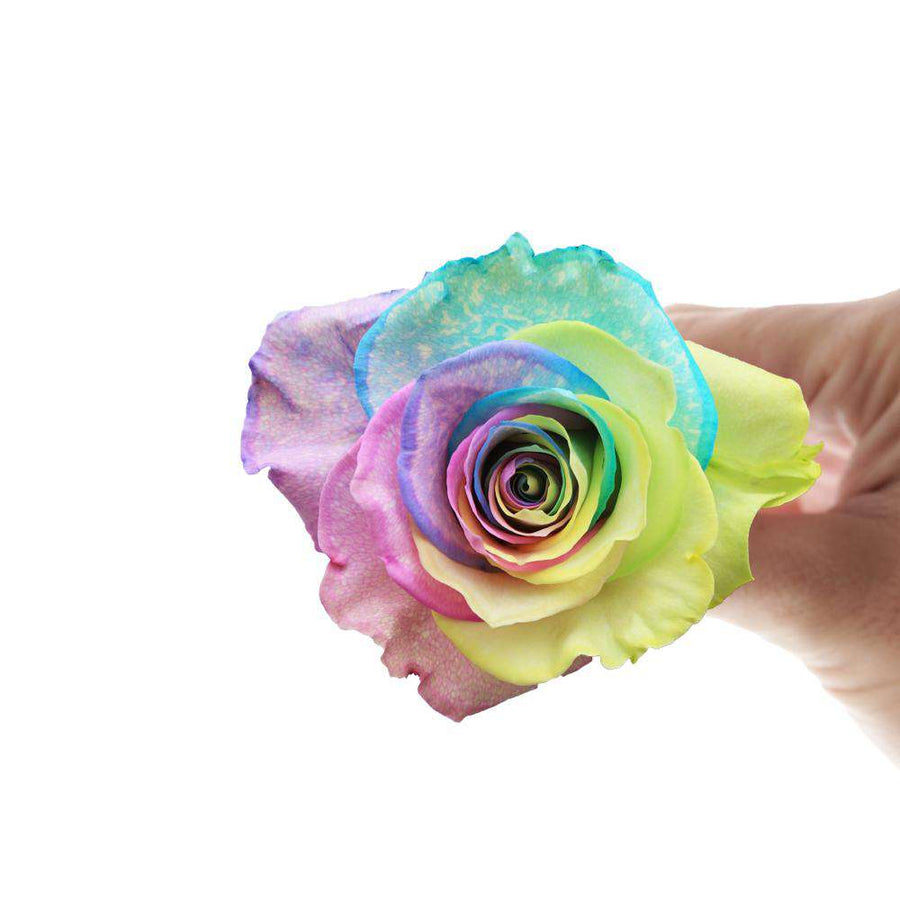 Rosaholics TIE DYE