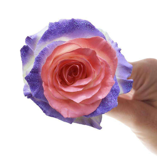 Rosaholics UNICORN