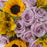 Rosaholics VIOLETT FRESH, view 2