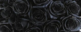 Rosaholics Wholesale Roses, view 4