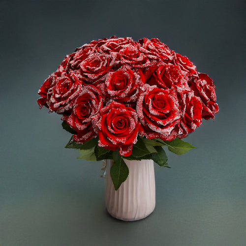 Rosaholics RED VELVET