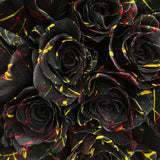 Rosaholics XOXO, view 2