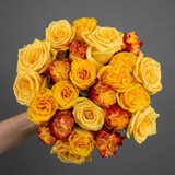 Rosaholics YELLOW EXPLOSION, view 4