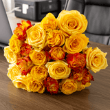 Rosaholics YELLOW EXPLOSION, view 5