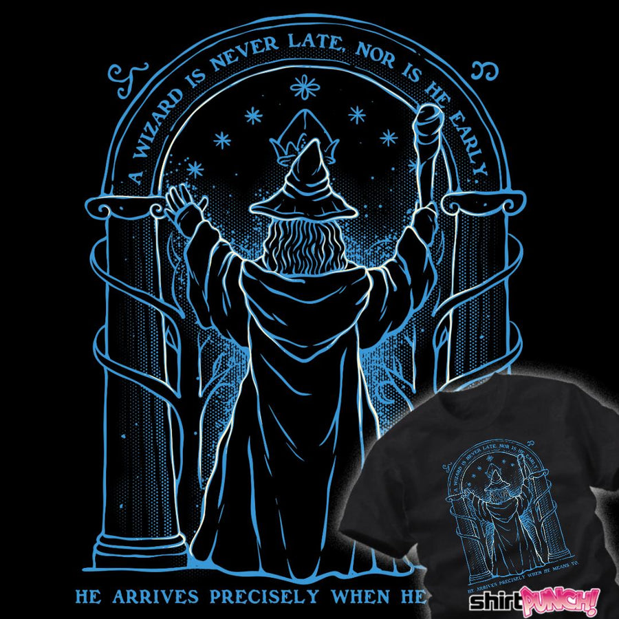 ShirtPunch A Wizard Is Never Late