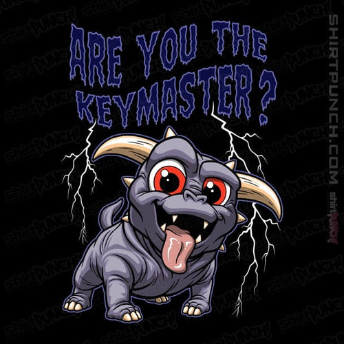 ShirtPunch Are You The Keymaster?