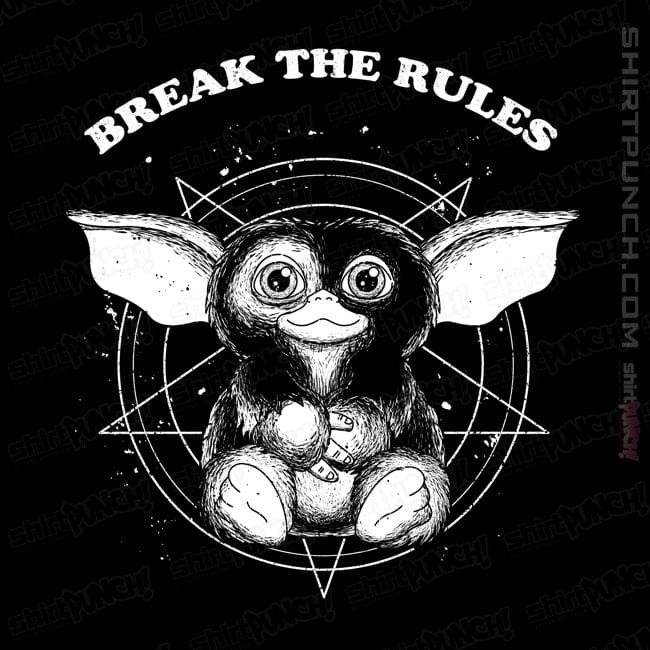 ShirtPunch Break The Rules