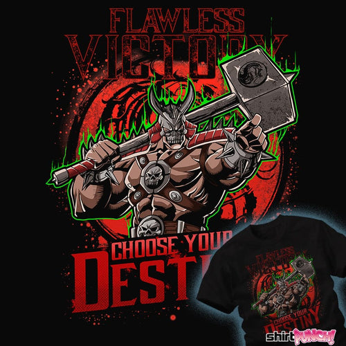 ShirtPunch Choose Your Destiny
