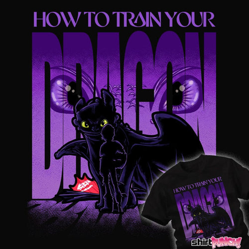 ShirtPunch Dragon Training