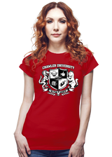ShirtPunch Dungeon Crawler University, view 3