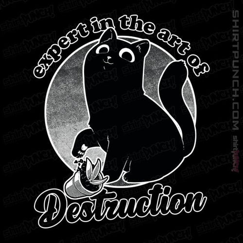 ShirtPunch Expert In Destruction