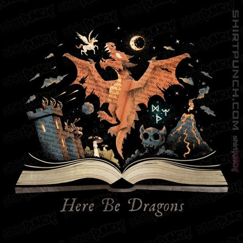 ShirtPunch Here Be Dragons