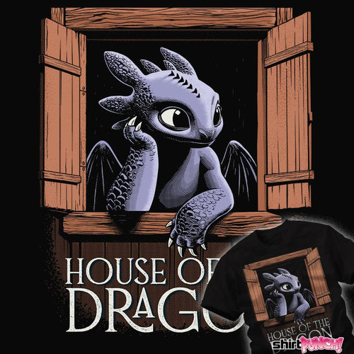 ShirtPunch House Of The Dragon