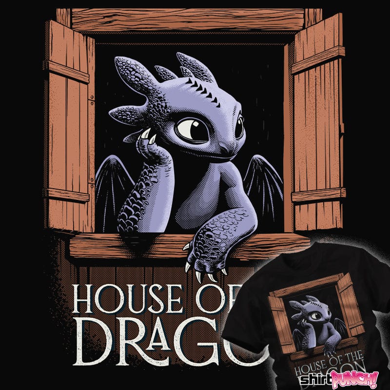 ShirtPunch House Of The Dragon