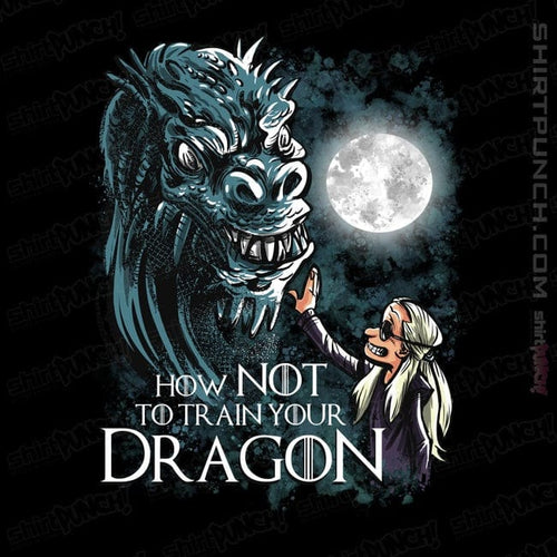 ShirtPunch How Not To Train Your Dragon