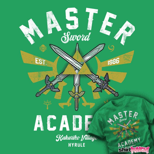 ShirtPunch Hyrule Academy