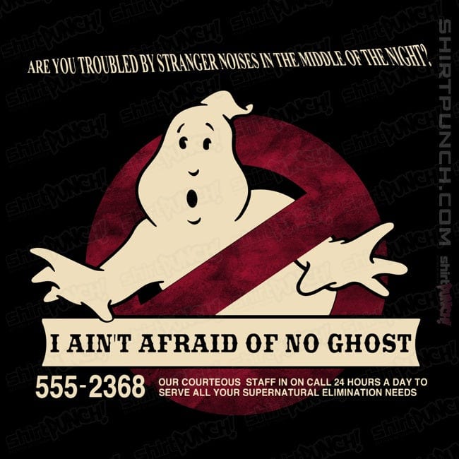 ShirtPunch I Ain't Afraid Of No Ghost