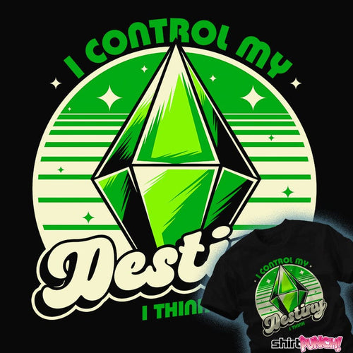 ShirtPunch I Control My Destiny