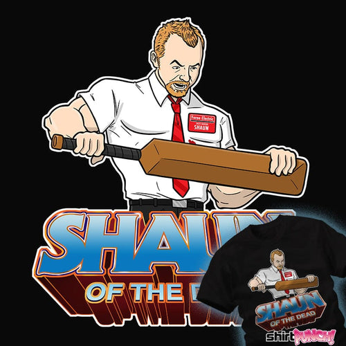 ShirtPunch I Have The Power!