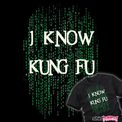 ShirtPunch I Know Kung Fu