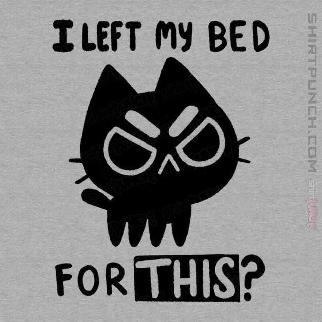 ShirtPunch I left My Bed For This?