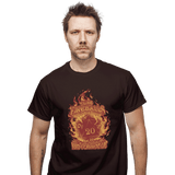 ShirtPunch I Like Fireballs, view 2