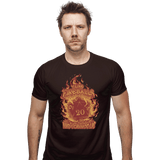 ShirtPunch I Like Fireballs, view 5