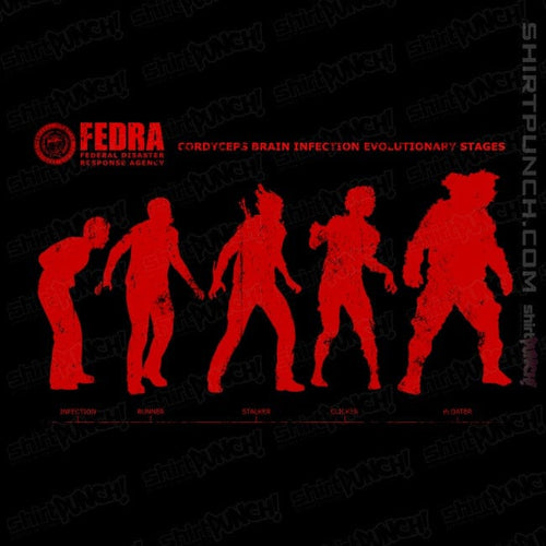 ShirtPunch Infection Evolution