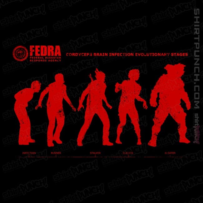 ShirtPunch Infection Evolution