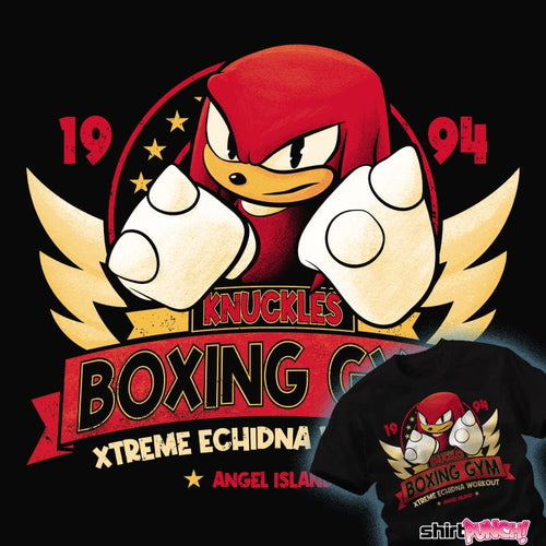 ShirtPunch Knuckles Boxing Gym