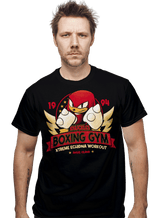 ShirtPunch Knuckles Boxing Gym, view 2