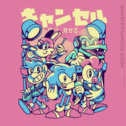 ShirtPunch Last Show