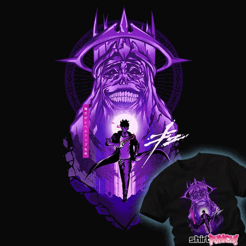 ShirtPunch Levelling Up