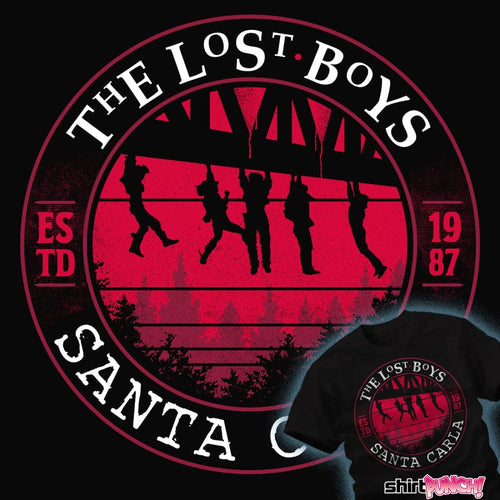 ShirtPunch Lost Boys