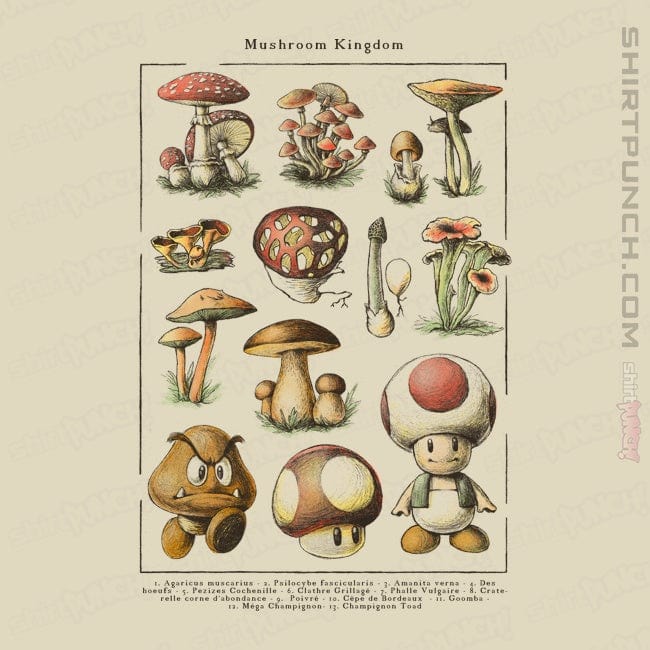 ShirtPunch Mario Mushrooms