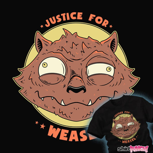 ShirtPunch Misunderstood