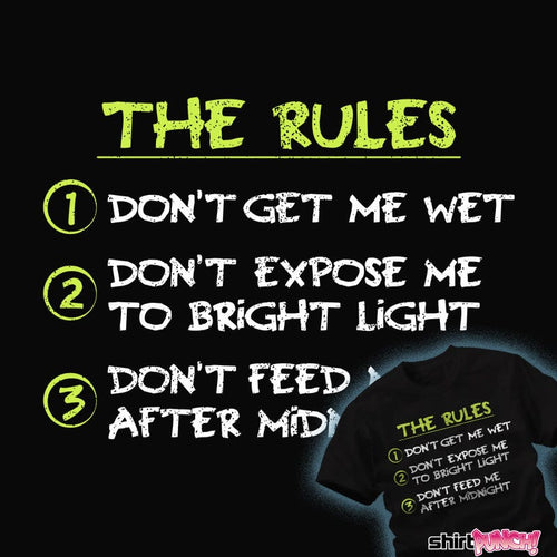 ShirtPunch My Three Rules