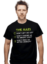 ShirtPunch My Three Rules, view 2
