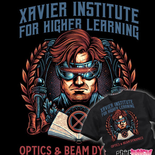 ShirtPunch Optics and Beam Dynamics