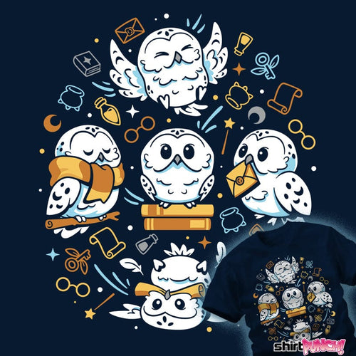 ShirtPunch Owls And Witchcraft