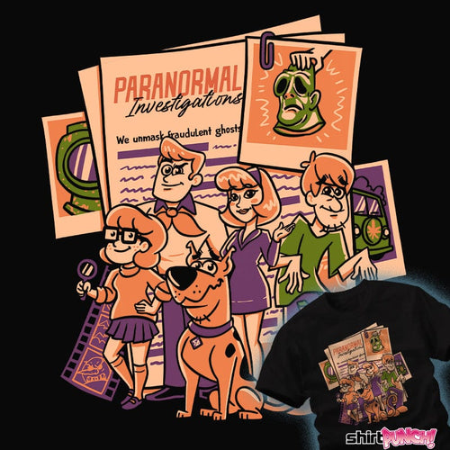 ShirtPunch Paranormal Investigations
