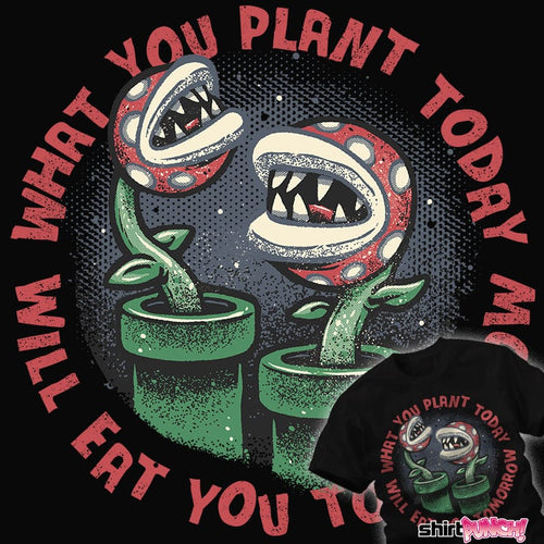 ShirtPunch Plant Today Eat Tomorrow
