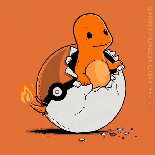 ShirtPunch Pokegg Ball