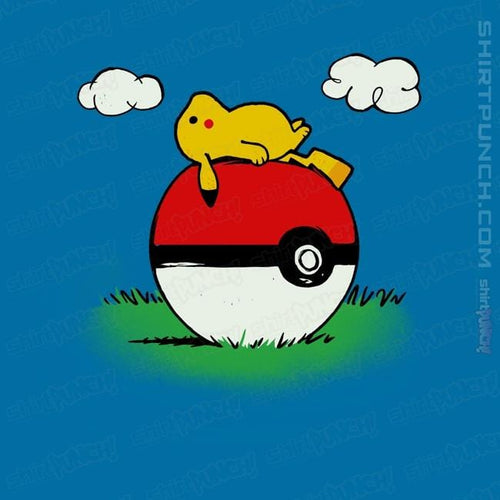 ShirtPunch Pokehouse