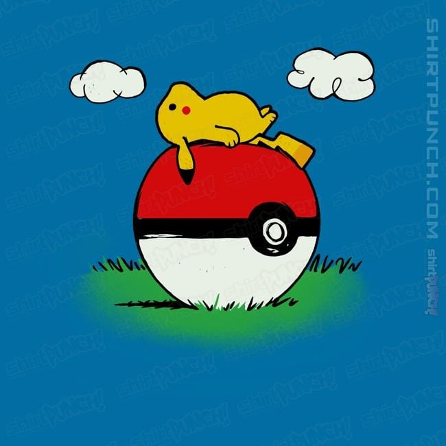 ShirtPunch Pokehouse